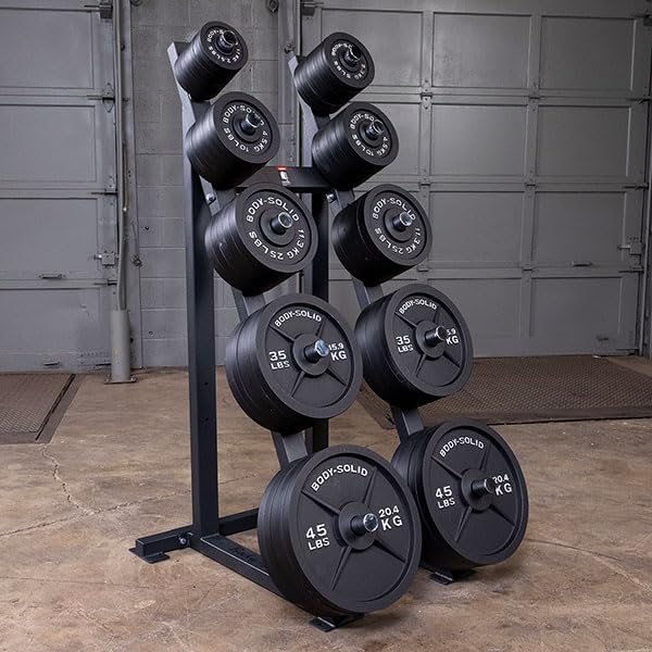Body-Solid Cast Iron Olympic Weight Plate Set - Free Weights, Dumbbell Plates, 2 Inch Standard Hole for All Barbell Types, Weight Sets