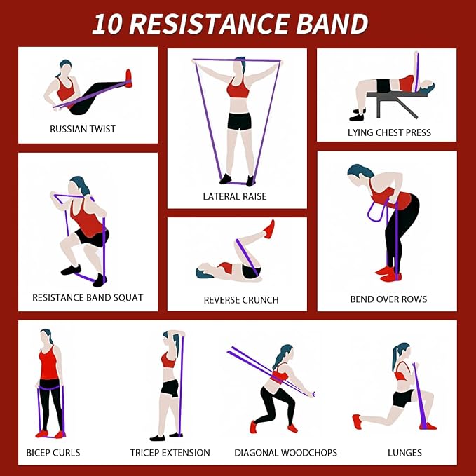 WHATAFIT Resistance Bands, Pull Up Assist Bands with Handles, Door Anchor | Natural Latex Rubber, Progressive Tension, Exercise Loop for Full-Body Fitness, Portable Gym Bag, Warm-Up & Stretch