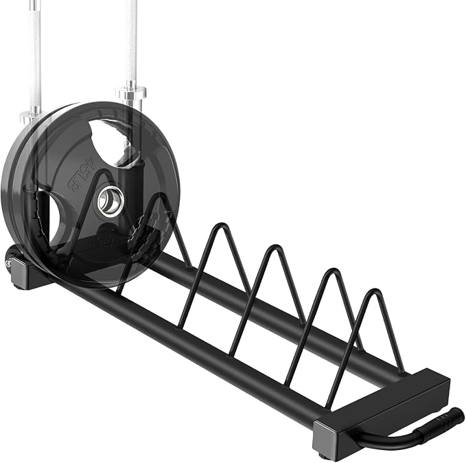 RitFit Weight Plates Rack, Weight Storage Rack with Barbell Bumper Weight Plates Holder for 2-Inch Weight Plates, Capable of Holding Up to 990 LBS
