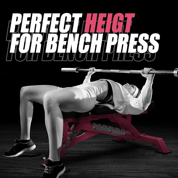 RITFIT Adjustable Weight Bench, Incline Decline Flat, 1300LB Capacity | Full Body Workout Bench for Home Gym Strength Training, 10 Backrest Positions, 3 Seat Angles, Heavy Duty Steel Frame