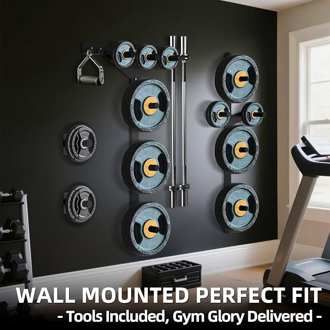 Wall Mounted Weight Plate Rack, 6 Pegs & 4 Barbell Storage Rack, 1190 LBS Capacity Weight Plate Holder, Wall Mounted Bumper Plate Storage for Home Garage Gym, Fit 2" Olympic, Rubber Protection Pads