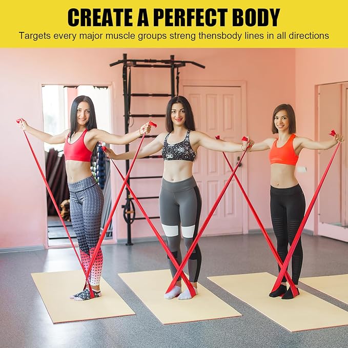 Resistance Exercise Band Kit,4 Pack Resistance Bands for Women or Men,Physiotherapy Recovery Fitness Band for Mobility Strength & Rehab Premium Quality