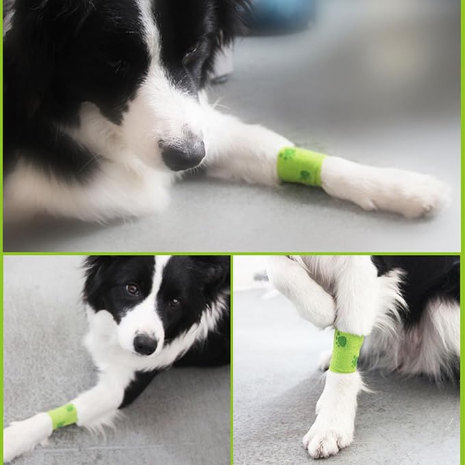20 Rolls Dog Bandages for Wounds, Self Stick Vet Wrap for Dogs Horse, Vet Tape Elastic Self Adhesive Bandage Wrap(2 Inch 3 Inch)
