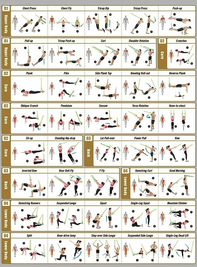 Training All-in-One Suspension Trainer Exercise Equipment Bundle,Bodyweight Fitness Resistance Trainer Kit with Pro Straps for Door Pull up Bar, Anchor Point for Complete Body Workouts V1