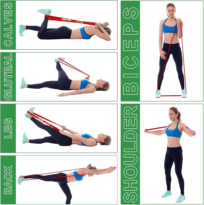 WIKDAY Resistance Bands, Pull Up Bands, Workout Bands for Exercise, Thick Heavy Resistance Band Set with Door Anchor, Elastic Bands for Body Stretching, Training at Home/Gym for Men & Women
