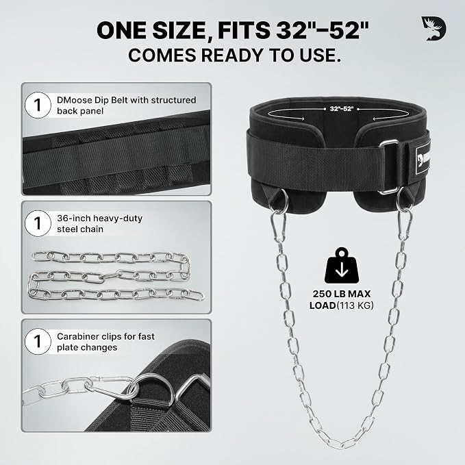DMoose Fitness Dip Belt for Weight Lifting, Pullup, Squats & Dips - 36" Robust Steel Chain, Comfortable Neoprene Padding Supports 350lbs - Gym Weight Belt for Strength Training Workout & Weightlifting
