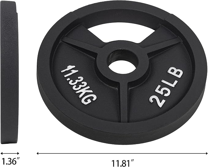 Signature Fitness Cast Iron Plate Weight Plate for Strength Training and Weightlifting, Olympic or Standard