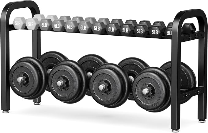 2 Tier Dumbbell Rack, Weight Rack for Home Gym, 300 lb Capacity