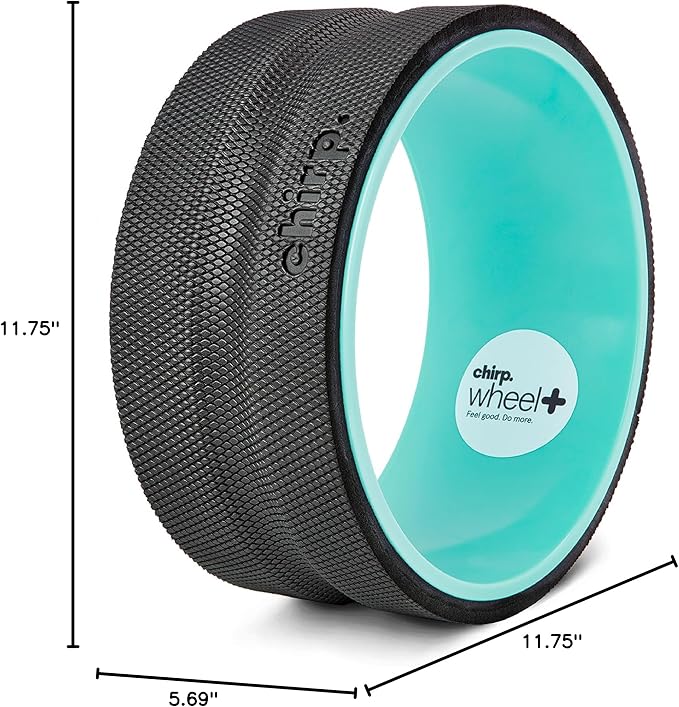 Chirp Wheel+ Foam Roller, Back & Neck Pain Relief, Mint 10-Inch