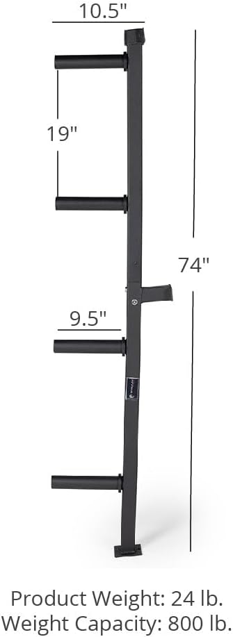 Titan Fitness Weight Plate Wall Mounted Storage Rack, Angled 4-Peg Design, Olympic Sized Weight Plate Organizer, Rated 800 LB, Anchored Wall Mounted Storage