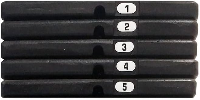 Body-Solid 50 Pound Weight Stack Add On Kit, Powerline Home Gym Machine Equipment, Cable Machine Add-On Weights Set Includes 5 Cast Iron Plates, Midnight Black