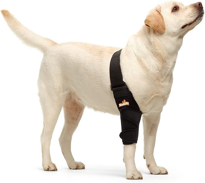 Dog Elbow Brace Protector Pads for Canine Elbow and Shoulder Support Elbow Hygroma, Dysplasia, Osteoarthritis, Elbow Calluses, Pressure Sores and Shoulder Dislocation (Right Leg, Small)
