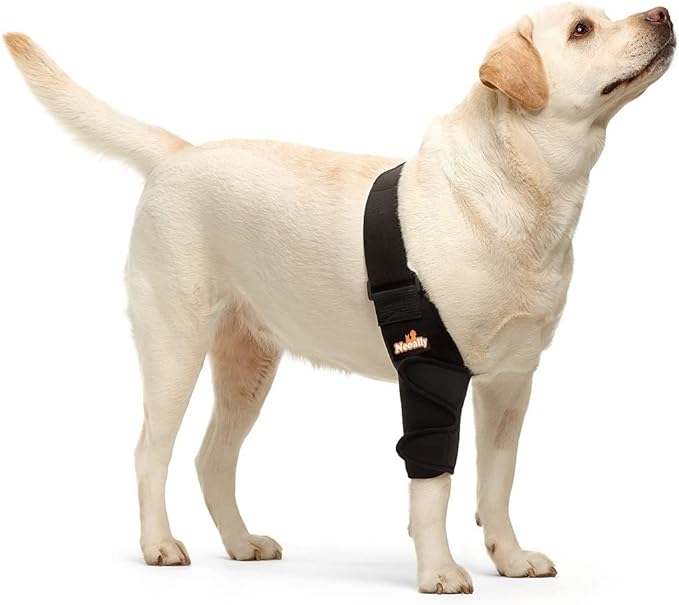 Dog Elbow Brace Protector Pads for Canine Elbow and Shoulder Support Elbow Hygroma, Dysplasia, Osteoarthritis, Elbow Calluses, Pressure Sores and Shoulder Dislocation (Right Leg, Extra Large)