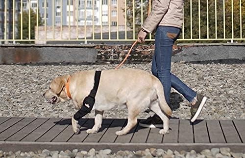 Dog Elbow Brace Protector Pads for Canine Elbow and Shoulder Support Elbow Hygroma, Dysplasia, Osteoarthritis, Elbow Calluses, Pressure Sores and Shoulder Dislocation (Extra Small, Left Leg)