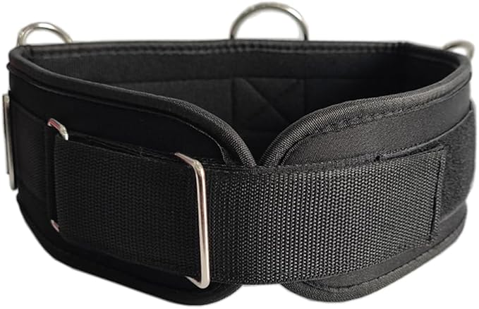 LOOEEL Fitness Resistance Belt Multi Functional Fitness Belt with 5 Rings for Weight Training and Resistance Training of Load Carrying Pull Up Belt Squat