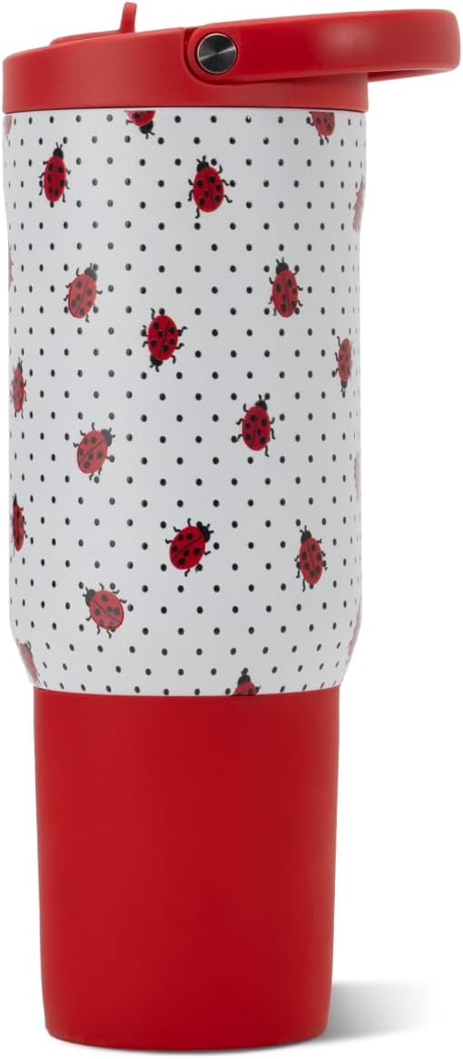 HydroJug Sport 20 oz Insulated Stainless Steel Water Bottle, Ladybug