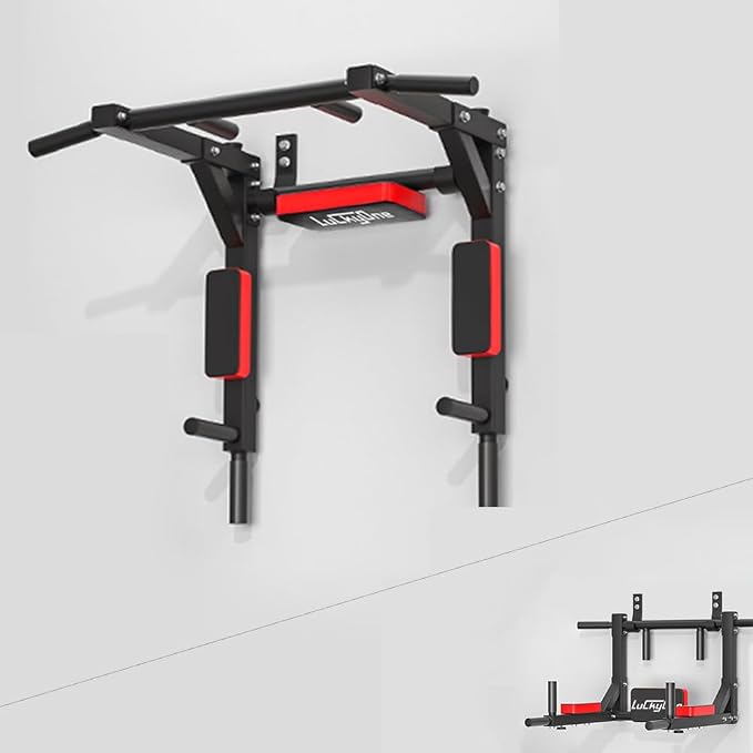 Multifunctional Wall Mounted Pull Up Bar, Chin Up Bar,Dip Station