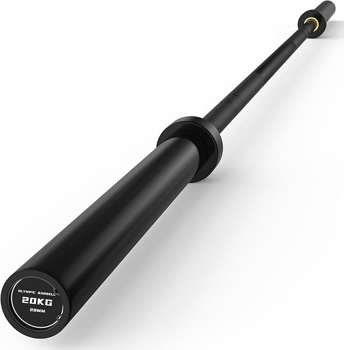 PAPABABE 7ft Barbell 45lb Olympic Barbell 1000/1500lbs Capacity Home Gym | 7ft 45lb 2" Olympic Barbell, 1000/1500lbs Capacity, Hybrid Needle Bearings & Bushings for Squat Curl Deadlift