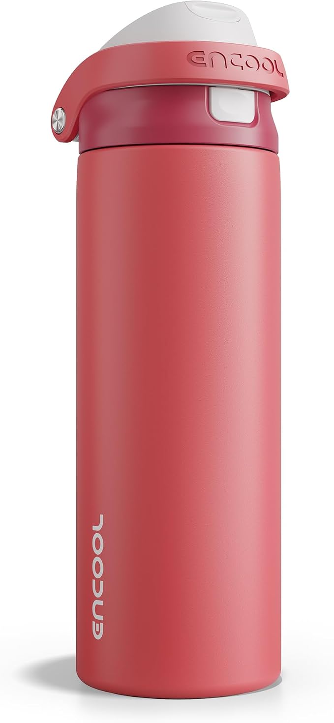 ENCOOL Leakproof Insulated Water Bottle with Straw Dual-Sip Water Bottle Bag-Safe Design for Work, Commute & Gym – Keeps Drinks Cold All Day, 24 oz, Ember Clay