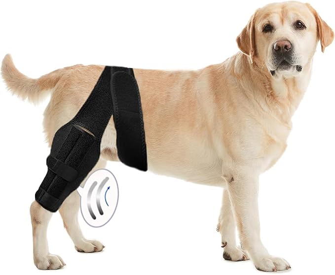 L Dog Leg Braces for Back Leg for Support with Cruciate Ligament Injury-Better Recovery with Dog Knee Brace for Torn Acl Hind Leg-Adjustable Hip Dysplasia Dog Acl Brace Hind Leg Rear