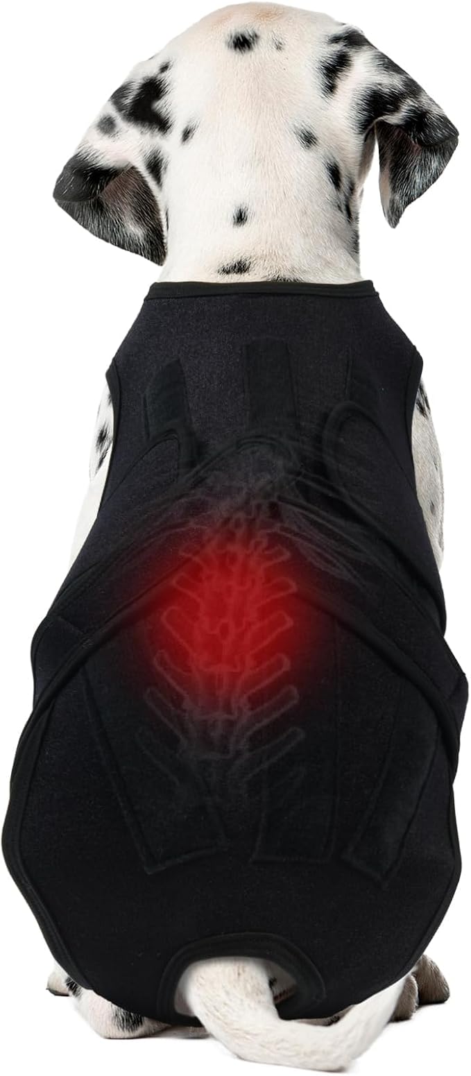Dog Back Brace for IVDD Recovery, Adjustable Dog Spine Support Harness for Dachshund Corgi French Bulldog Pug, Pain Relief Back Protector for Senior,Post‑Surgery,Long‑Bodied & Overweight Dogs, M