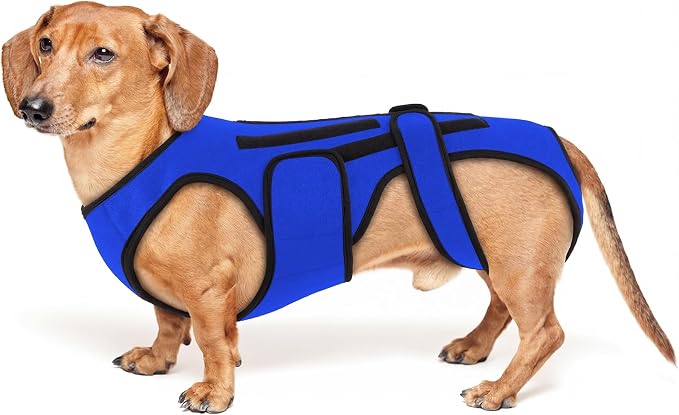 Back Brace for Dogs with Strong Spine Stability Support, Blue XS | IVDD Mobility Back Brace for Pet, Breathable & Adjustable for Joint & Hip Support Senior or Less Mobile Dogs