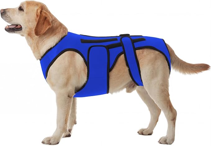 Back Brace for Dogs with Strong Spine Stability Support, Blue 3XL | IVDD Mobility Back Brace for Pet, Breathable & Adjustable for Joint & Hip Support Senior or Less Mobile Dogs