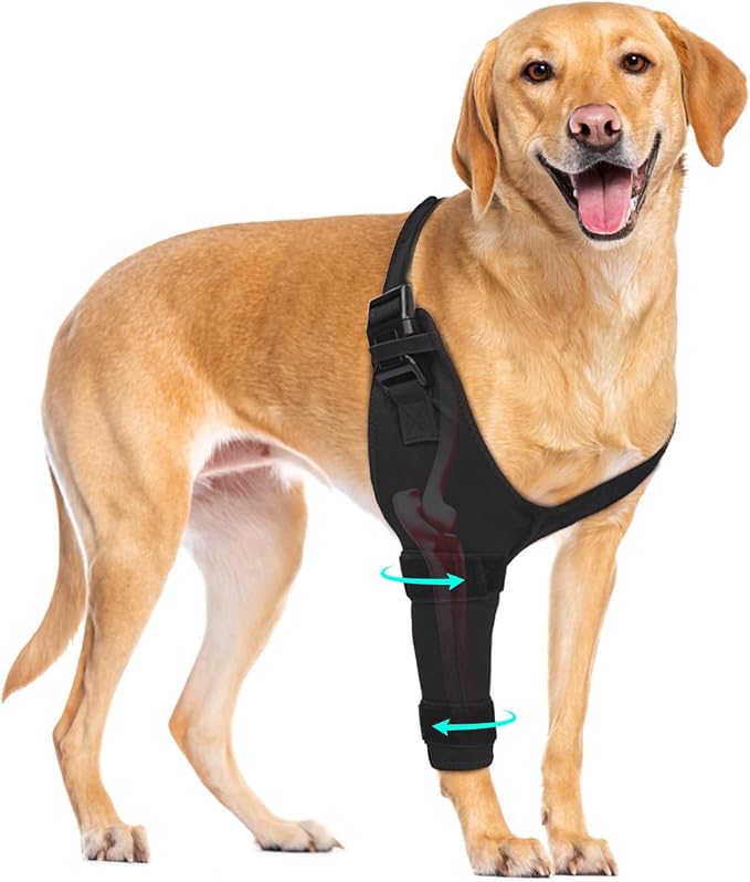 Dog Elbow Protector Brace, Dog Leg Sleeves Anti-Licking for Arthritis, Hygroma, Pressure Sores, and Calluses, Dogs Elbows Pads & Shoulder Brace for Elbow Dysplasia and Injury Recovery, Right XXL
