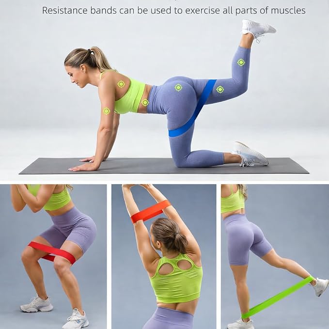 New Horrizon Resistance Bands for Working Out Set of 5 with Carry Bag, Resistance Loop Exercise Bands for Strength Training, Physical Therapy & Pilates, Home Gym Workout Equipment for Men & Women