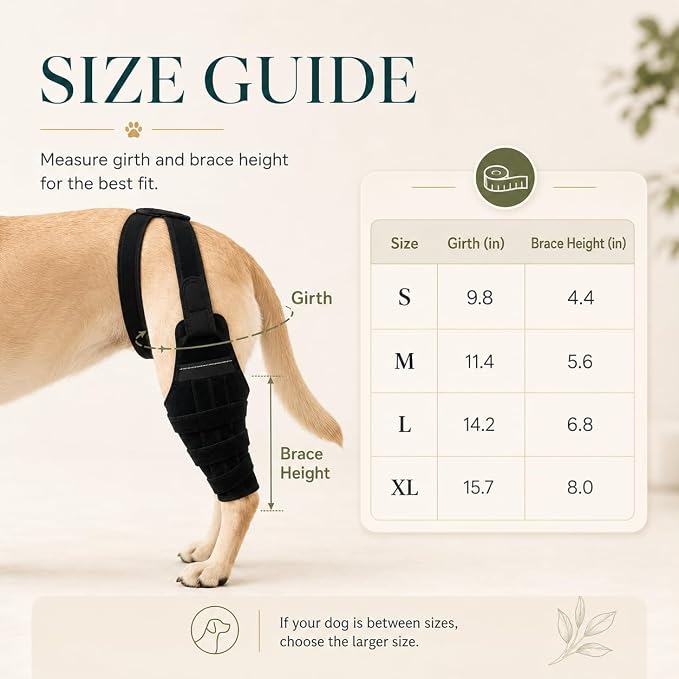 Dog Knee Brace for Torn ACL CCL, Support Dog Leg Braces for Back Leg to Prevent Slipping, Hind Leg Support for Dog Joint Pain Recovery, Luxating Patella, Fits Small Medium Large Dogs, L