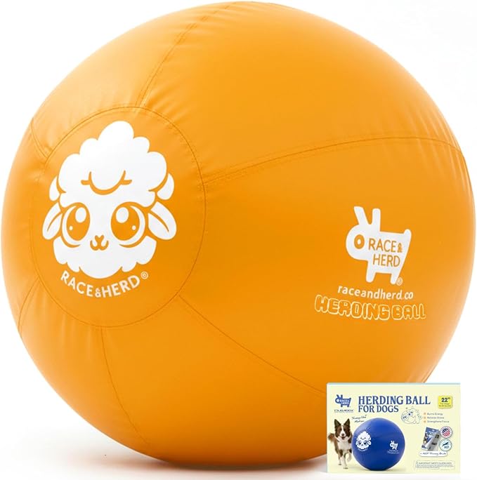 Race&Herd 22" Original Herding Ball for Dogs — Balls for Dog Toys (Gold) | Medium Herding Ball for Australian Shepherd, Border Collie, Corgi & Blue Heeler, Instinct-Driven Outdoor Exercise
