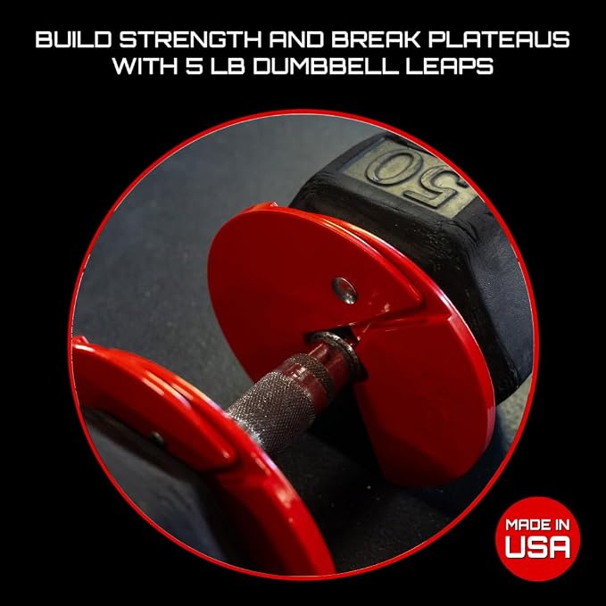 Micro Gainz 2.5LB Dumbbell Fractional Weight Plates, 4-Piece