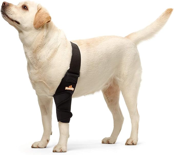 Dog Elbow Brace Protector Pads for Canine Elbow and Shoulder Support Elbow Hygroma, Dysplasia, Osteoarthritis, Elbow Calluses, Pressure Sores and Shoulder Dislocation (Extra Small, Left Leg)