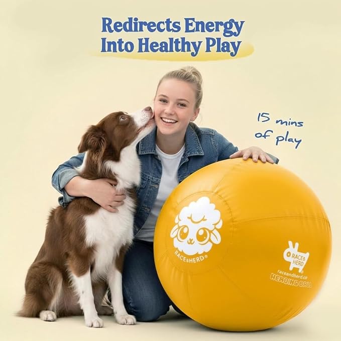 Race&Herd 18" Original Herding Ball for Dogs — Balls for Dog Toys (Gold) | Small Herding Ball for Mini Australian Shepherd, Border Collie, Corgi & Frenchie, Instinct-Driven Outdoor Exercise