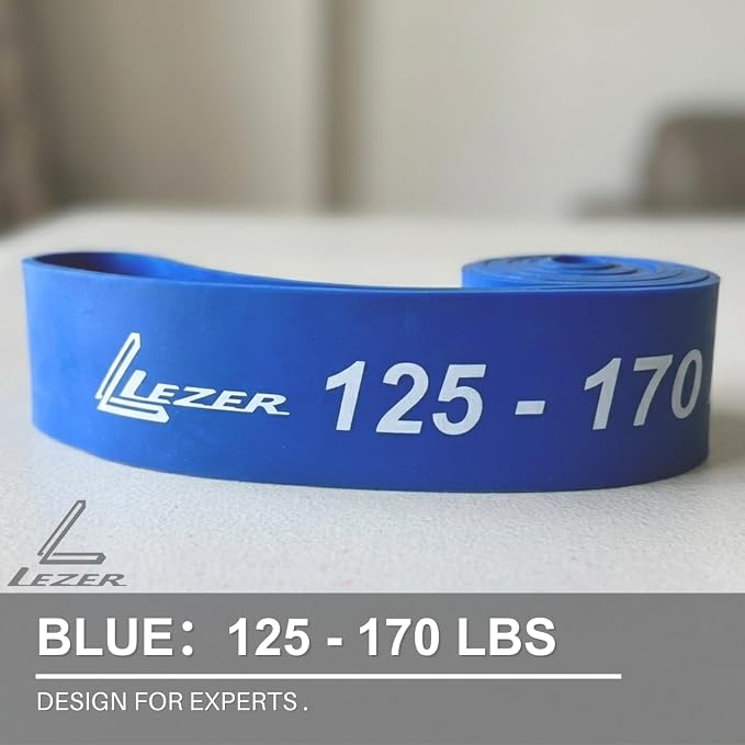 LEZER Resistance Bands - Pull Up Bands for Home Gym Fitness, Stretching, Physical Therapy & Training - Includes Instruction