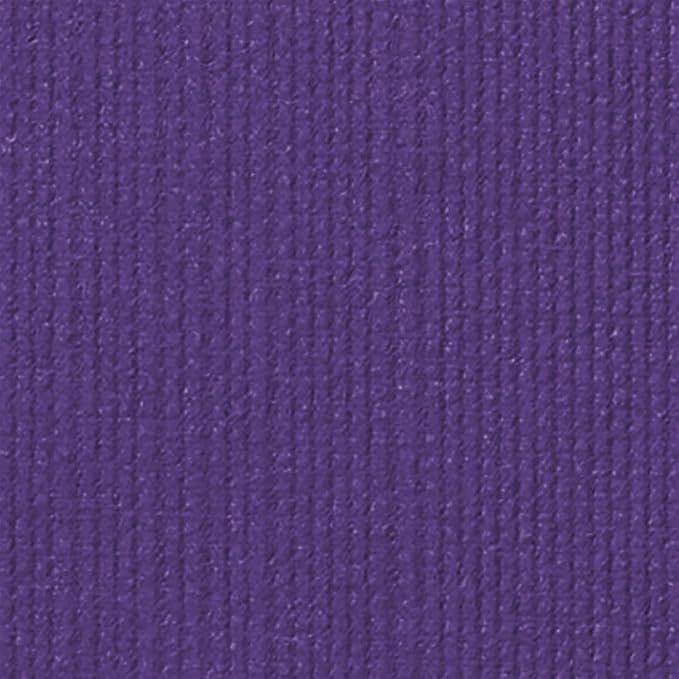 Manduka PRO Yoga Mat - 6mm | Lifetime Durability | Hygienic Construction | Premium Studio Quality | Teacher Approved
