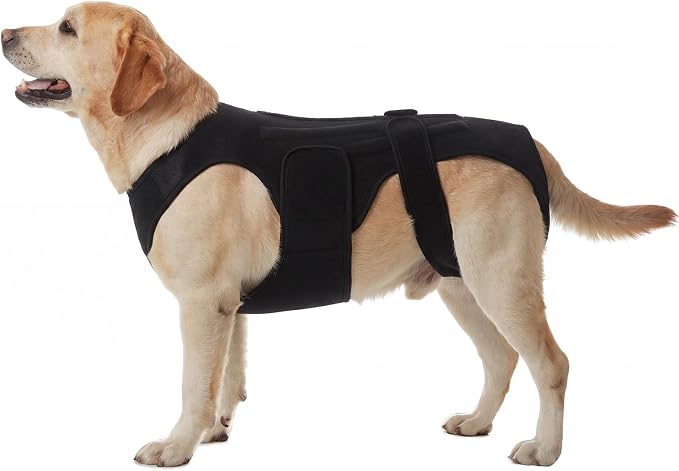 Back Brace for Dogs with Strong Spine Stability Support, Black 2XL | IVDD Mobility Back Brace for Pet, Breathable & Adjustable for Joint & Hip Support Senior or Less Mobile Dogs