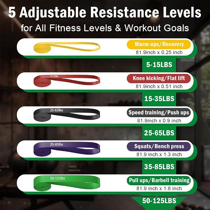 Pull Up Assistance Bands, Resistance Bands Set with Handles for Men Women, Workout & Exercise Bands, 5-Level Elastic Bands for Working Out, Stretch Bands for Home Gym, Stretching & Physical Therapy