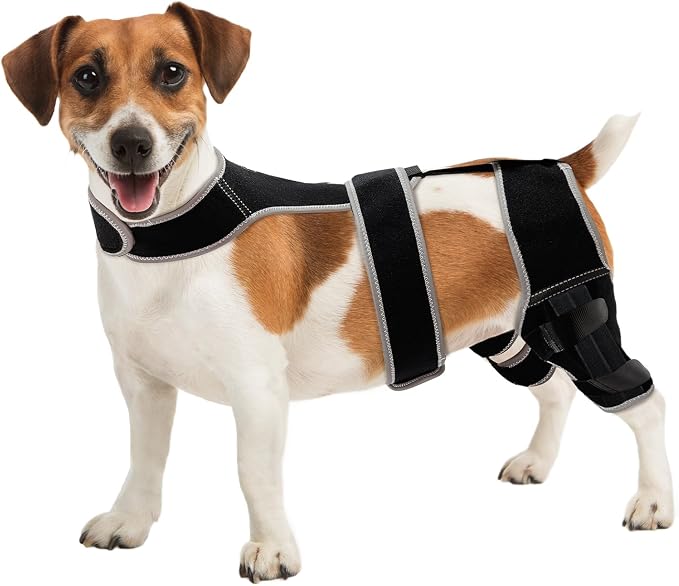 Snagle Paw Dog Knee Braces for Back Legs, ACL/CCL Support, M | Double-leg support, 4 reinforced stays, triple anti-slip fit, for walks, recovery, post-op care