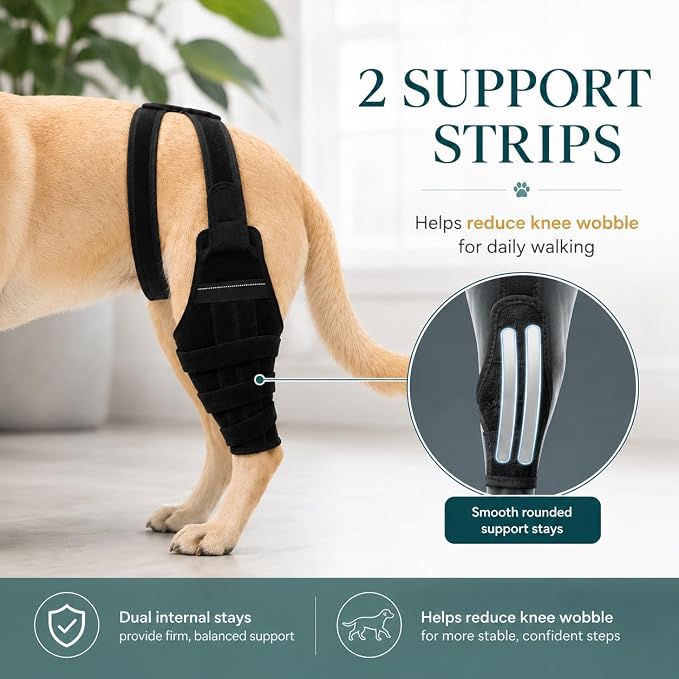 Dog Knee Brace for Torn ACL CCL, Support Dog Leg Braces for Back Leg to Prevent Slipping, Hind Leg Support for Dog Joint Pain Recovery, Luxating Patella, Fits Small Medium Large Dogs, XL