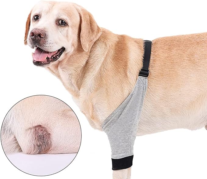 HDKUW Dog Elbow Protector for Calluses, Recovery Suit for Front Legs, Cone Collar Alternative to Stop Licking Wounds, Cover Sleeve for Small Medium Large Dogs (S)