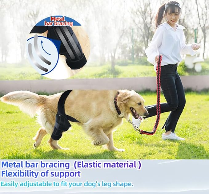 M Dog Leg Braces for Back Leg for Support with Cruciate Ligament Injury-Better Recovery with Dog Knee Brace for Torn Acl Hind Leg-Adjustable Hip Dysplasia Dog Acl Brace Hind Leg Rear