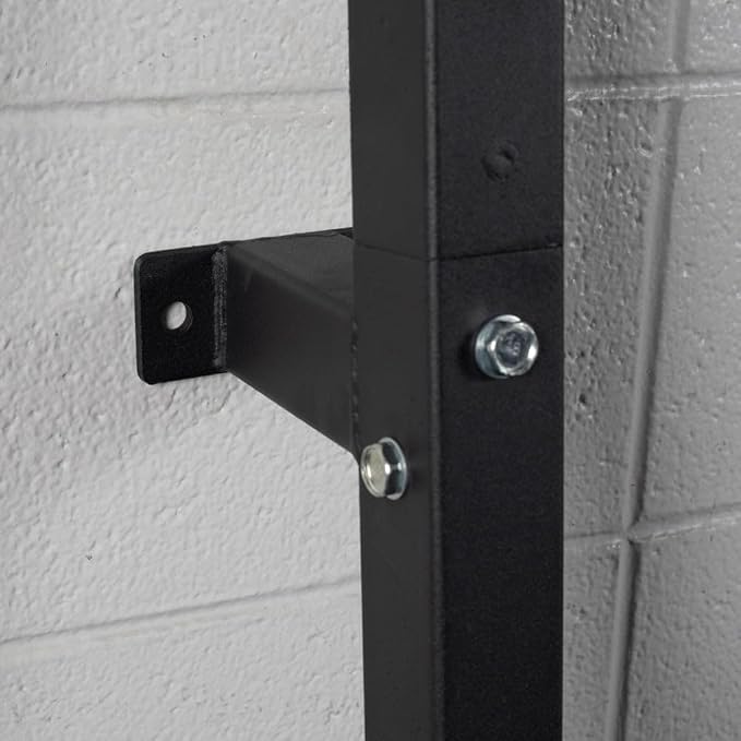 Titan Fitness Weight Plate Wall Mounted Storage Rack, Angled 4-Peg Design, Olympic Sized Weight Plate Organizer, Rated 800 LB, Anchored Wall Mounted Storage