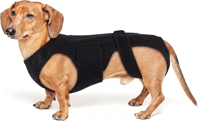 Back Brace for Dogs with Strong Spine Stability Support, Black XS | IVDD Mobility Back Brace for Pet, Breathable & Adjustable for Joint & Hip Support Senior or Less Mobile Dogs