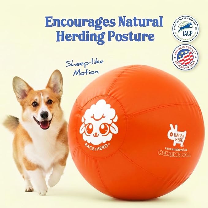 Race&Herd 18" Herding Ball for Dogs — Balls for Dog Toys (Tangerine) | Small Herding Ball for Mini Australian Shepherd, Border Collie, Corgi & Frenchie, Instinct-Driven Outdoor Exercise