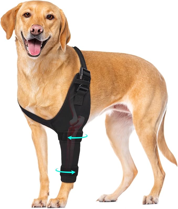 Dog Elbow Protector Brace, Dog Leg Sleeves Anti-Licking for Arthritis, Hygroma, Pressure Sores, and Calluses, Dogs Elbows Pads & Shoulder Brace for Elbow Dysplasia and Injury Recovery, Left XL