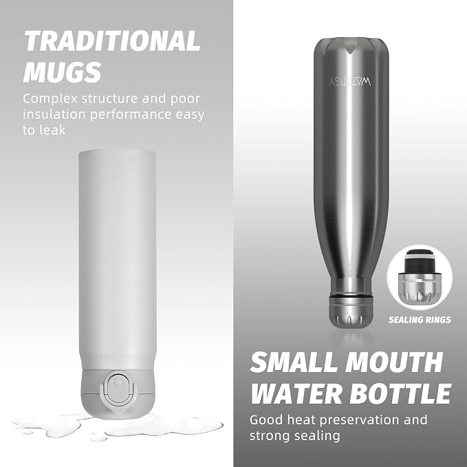 WATERSY Stainless Steel water bottles,17oz/500ml Insulated Water Bottle | Sliver metal water bottle Keeps Drink Cold and Hot,BPA Free kids water bottles for School,Gym,Travel,Sports