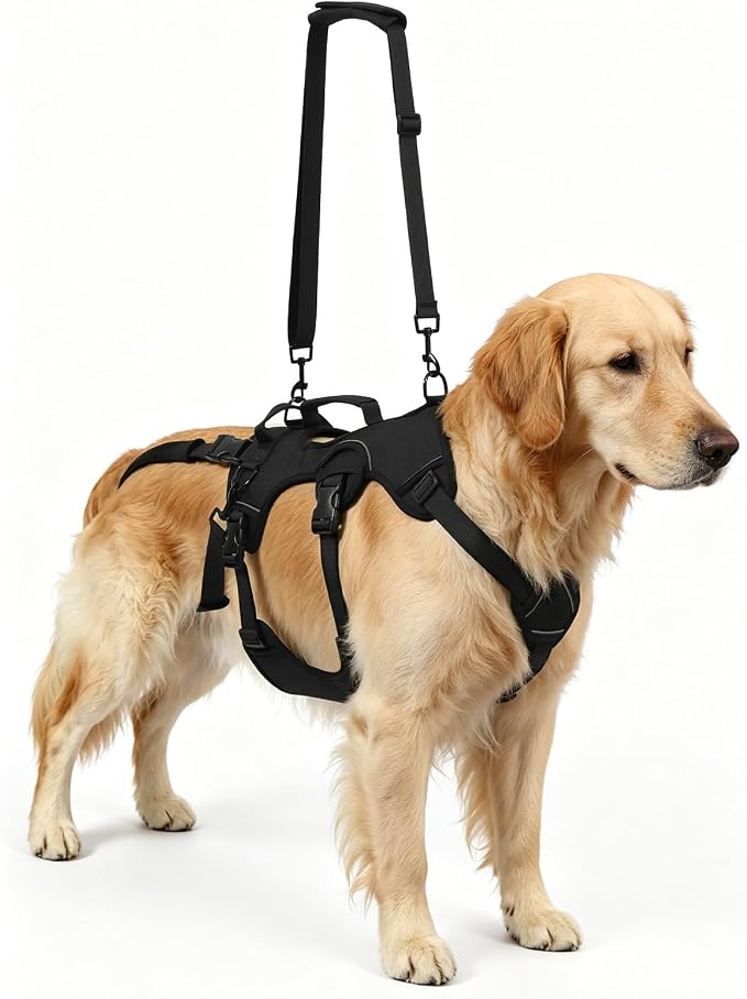 NOYAL Adjustable Dog Lift Harness with Padded Handle, Reflective Full Body Support Vest for Senior Disabled Pets, Breathable Air Mesh, Detachable Hind Leg Lifting Straps
