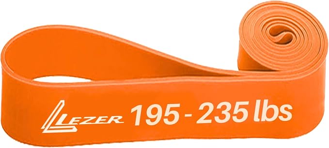 LEZER Resistance Bands - Pull Up Bands for Home Gym Fitness, Stretching, Physical Therapy & Training - Includes Instruction