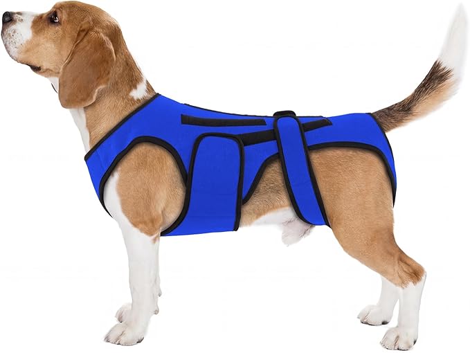 Back Brace for Dogs with Strong Spine Stability Support, Blue XL | IVDD Mobility Back Brace for Pet, Breathable & Adjustable for Joint & Hip Support Senior or Less Mobile Dogs